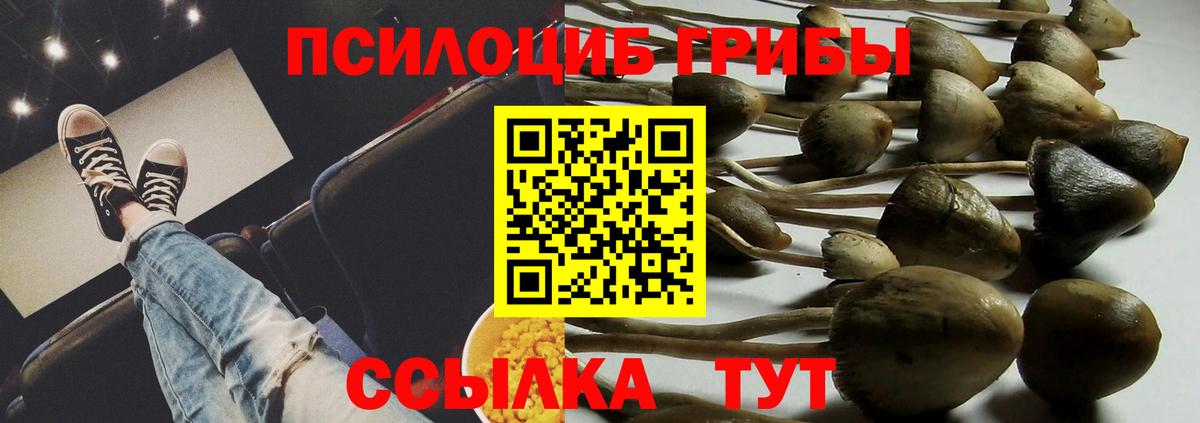 Псилоцибиновые грибы прущие грибы Малгобек